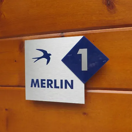 Merlin *