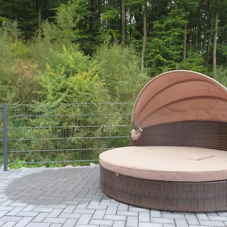 Merlin * Rieden (Mayen-Koblenz)