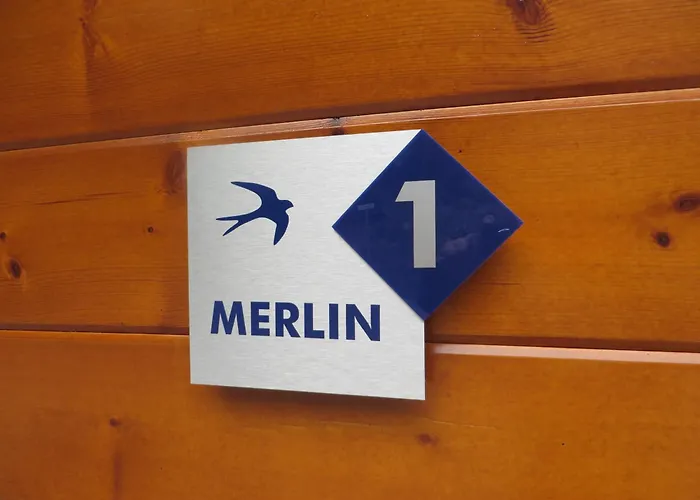 Merlin *